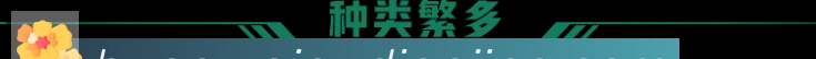App功能展示图